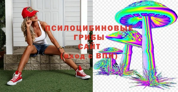 прущая мука Алексин