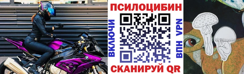 цена   Сясьстрой  hydra как войти  Псилоцибиновые грибы Magic Shrooms 